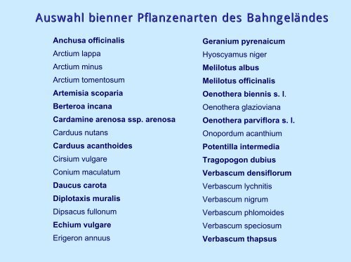 Virtuelle Exkursion zur Stadtflora von Braunschweig