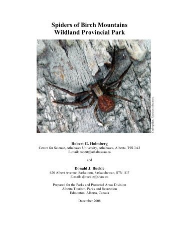 Spiders of Birch Mountains Wildland Provincial Park (PDF