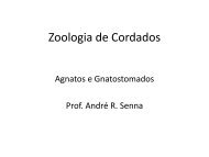 Zoologia de Cordados - UniFOA