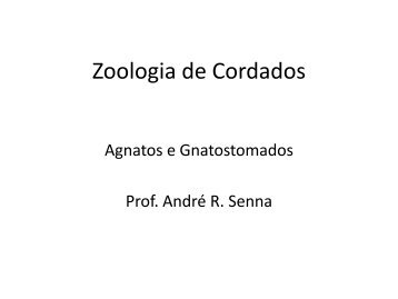 Zoologia de Cordados - UniFOA