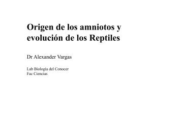 Origen de los amniotos y evolución de los Reptiles