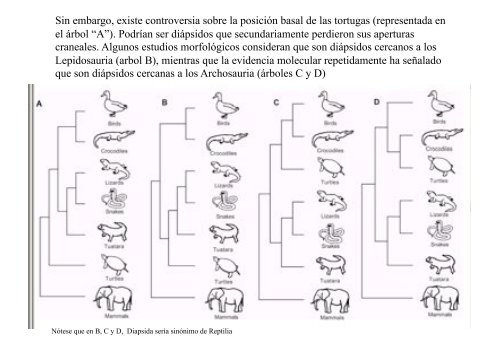 Origen de los amniotos y evolución de los Reptiles