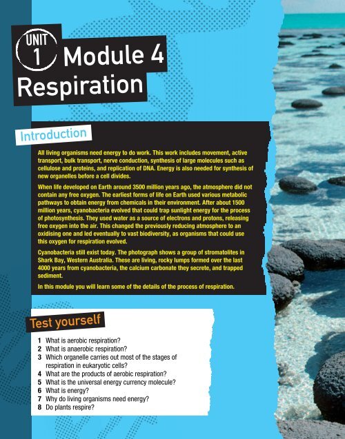 Module 4 Respiration - Pearson Schools