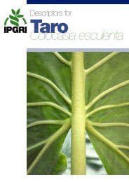 Descriptors for Taro (Colocasia esculenta) - Bioversity International