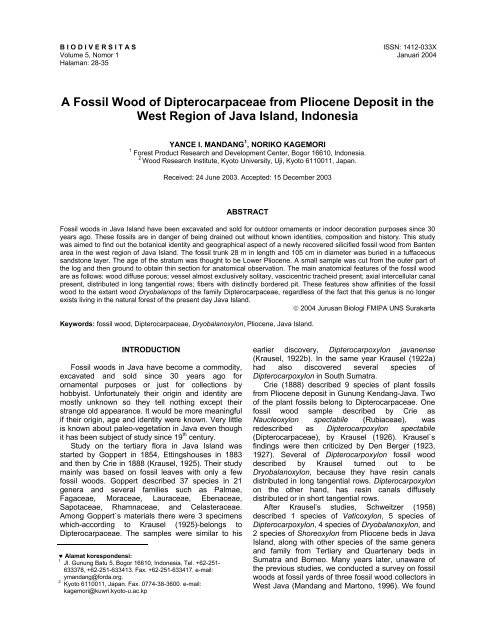 A Fossil Wood of Dipterocarpaceae from Pliocene Deposit in the ...