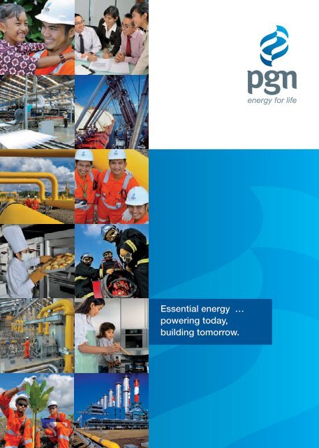 Download COMPANY PROFILE - Perusahaan Gas Negara