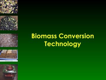 Study on local adaptability of biomass energy conversion technology