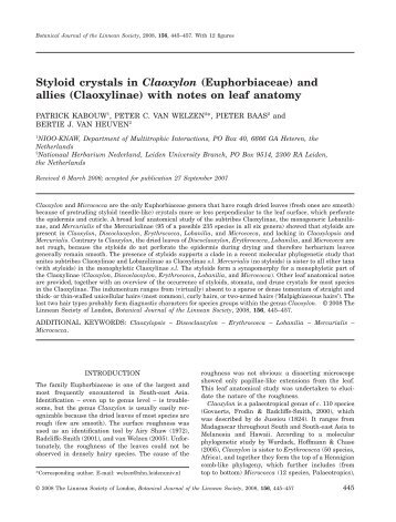 Styloid crystals in Claoxylon (Euphorbiaceae) - Red de Bibliotecas