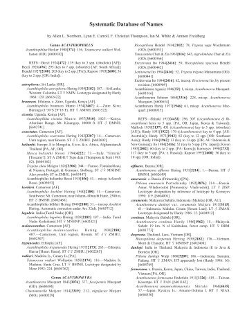 Systematic Database of Names