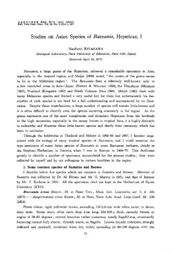 Studies on Asian Species of Bazzania, Hepaticae, I