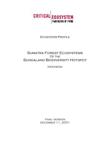 Sumatra Forest Ecosystems Sundaland Biodiversity Hotspot