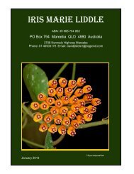 Liddle's Hoya catalogue 2013 - Linh's Little Green