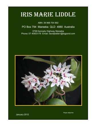 Liddle Hoya catalogue 2012 - Linh's Little Green