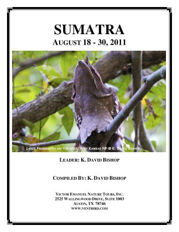 Sumatra Extension - Victor Emanuel Nature Tours