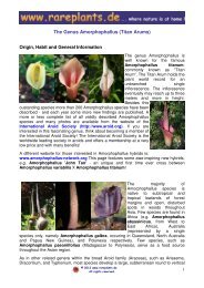 The Genus Amorphophallus - Bjorn Malkmus Rare Seed Nursery