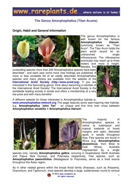 The Genus Amorphophallus - Bjorn Malkmus Rare Seed Nursery