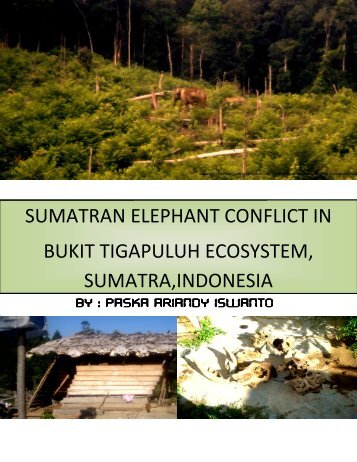 SUMATRAN EL BUKIT TIGAPULUH ECO SUMATRA ... - Planet Action