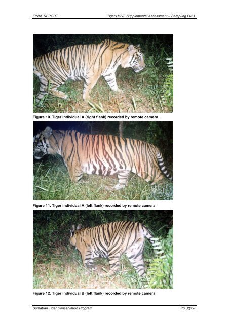 A Supplemental HCVF Assessment on the Sumatran Tiger ...