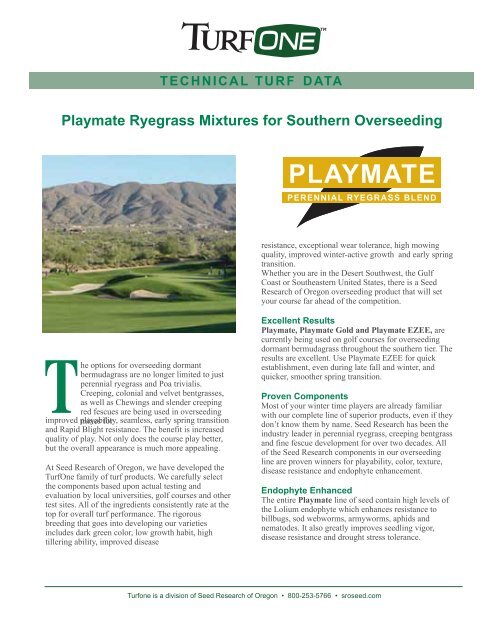 Playmate Overseeding Seed Research Of Oregon Playmate Overseeding Seed Research Of Oregon