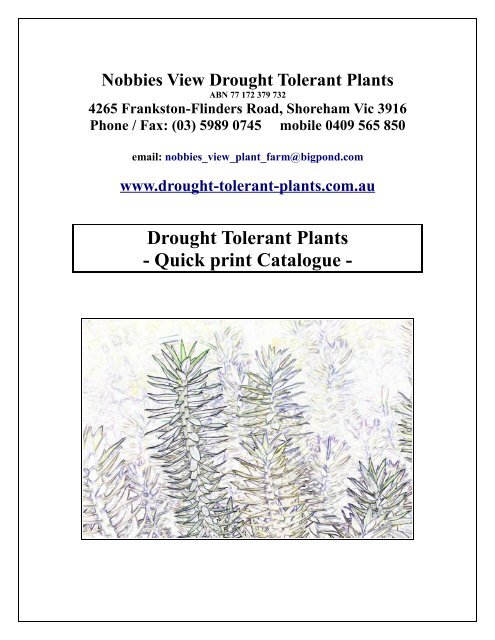 Drought Tolerant Plants - Quick print Catalogue -