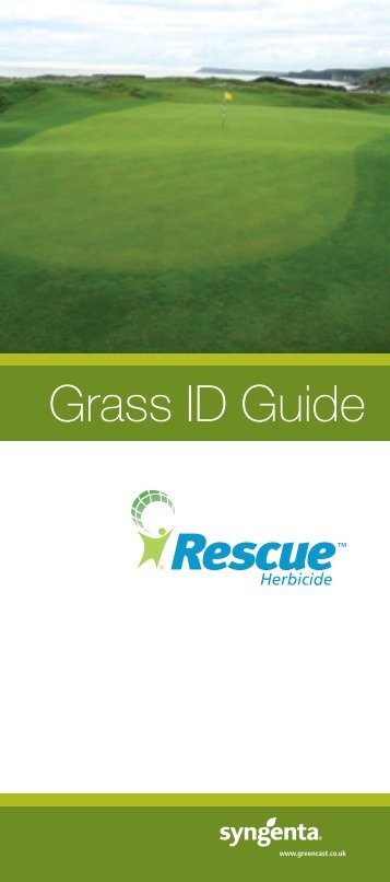 Grass ID Guide - GreenCast