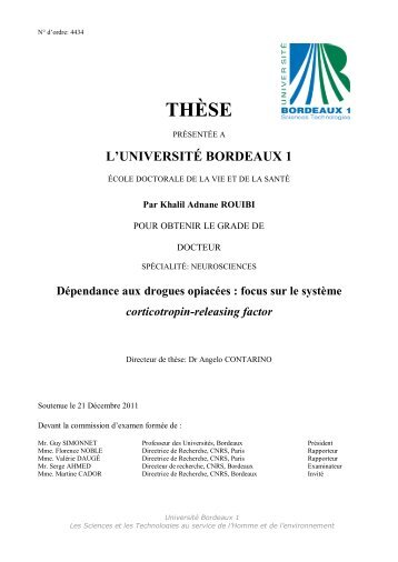 THÈSE - Université Bordeaux 1