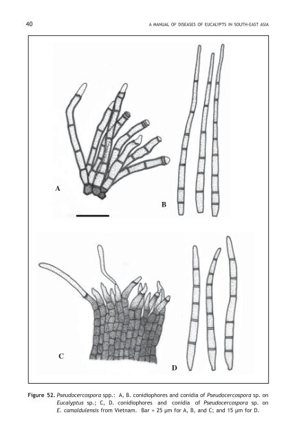 A manual of diseases of eucalyptus in South-East Asia - Center for ...