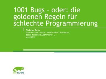 1001 Bugs - oder: die goldenen Regeln für schlechte - Christian Boltz
