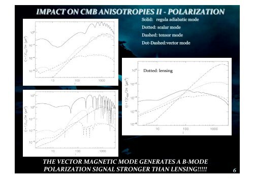 PRIMORDIAL MAGNETIC FIELDS WITH BPOL