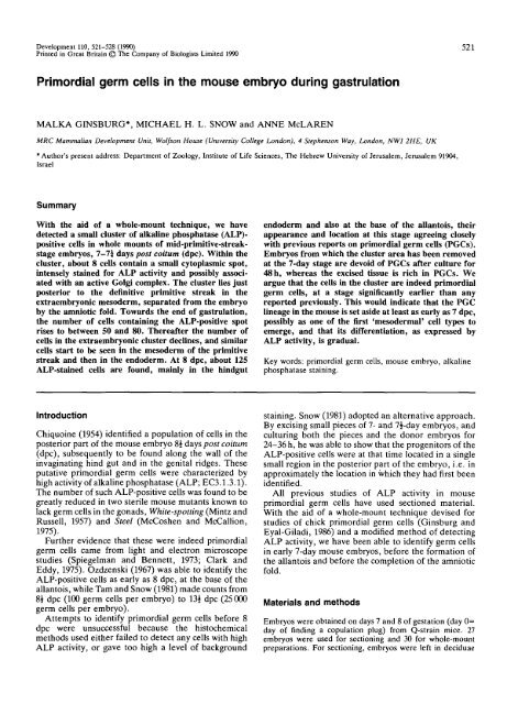 Primordial germ cells in the mouse embryo during gastrulation