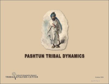 PASHTUN TRIBAL DYNAMICS - Tribal Analysis Center