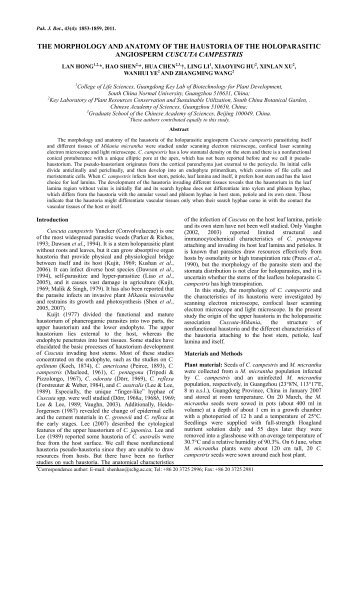 THE MORPHOLOGY AND ANATOMY OF THE HAUSTORIA OF THE ...