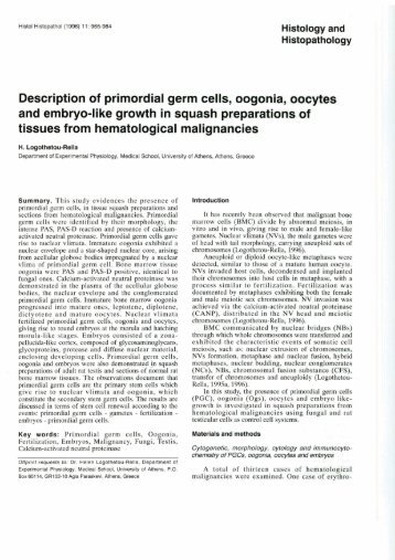 Description of primordial germ cells, oogonia, oocytes and ... - Digitum