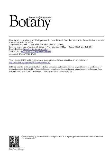 Comparative Anatomy of Endogenous Bud and Lateral Root ...