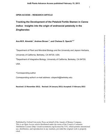 Tracking the Development of the Petaloid Fertile Stamen in Canna ...