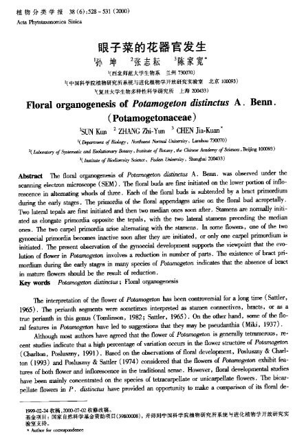 Floral organogenesis of Potamogeton distinctus A. Benn.