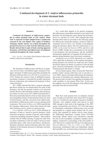 Continued development of V. vinifera inflorescence primordia in ...