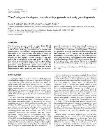 The C. elegans Hand gene controls embryogenesis and early ...
