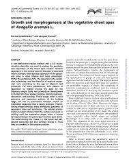 Growth and morphogenesis at the vegetative shoot apex of ...