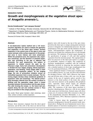 Growth and morphogenesis at the vegetative shoot apex of ...