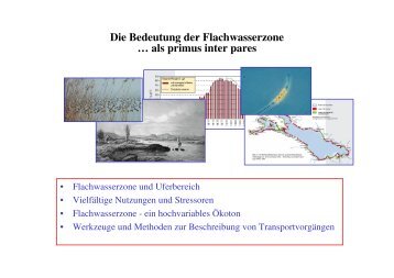 Die Bedeutung der Flachwasserzone . … als primus inter pares