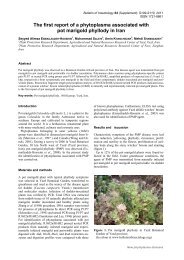 The first report of a phytoplasma associated with pot marigold ...