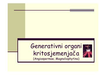 Generativni organi kritosjemenjača