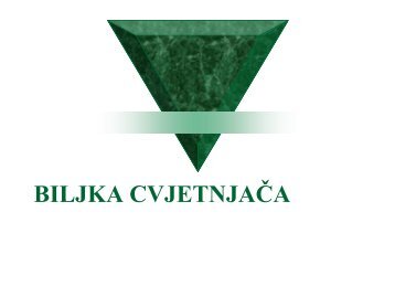 BILJKA CVJETNJAČA