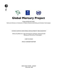 Sudan final Report.pdf - Global Mercury Project