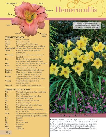 Hemerocallis part 1 - Proven Winners