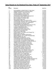 Sales Results for the Shetland Pony Sale, Friday 24th ... - Brightwells