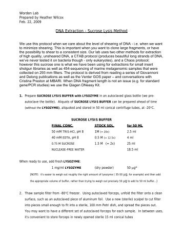 DNA Extraction - Sucrose Lysis Method