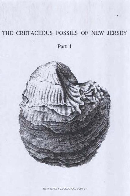 NJGS - Bulletin 61-I. The Cretaceous Fossils of NJ - State of New ...