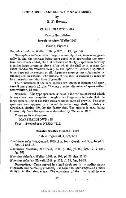 NJGS - Bulletin 61-I. The Cretaceous Fossils of NJ - State of New ...